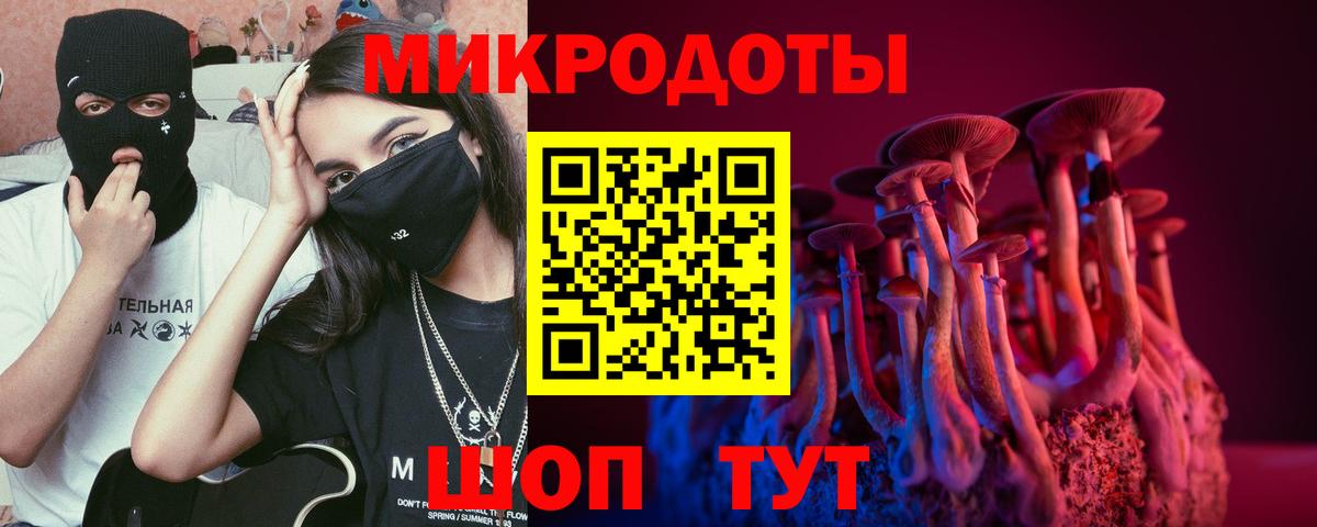 Ростов Великий  Галлюциногенные грибы Psilocybe  Вход с VPN  Псилоцибиновые грибы прущие грибы 